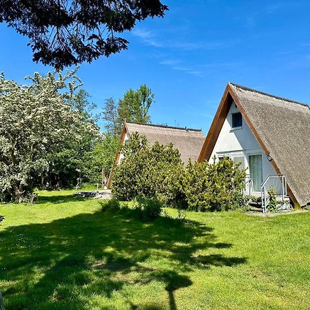Finnhuette Nr.42 Auf Moenchgut Gager Extérieur photo